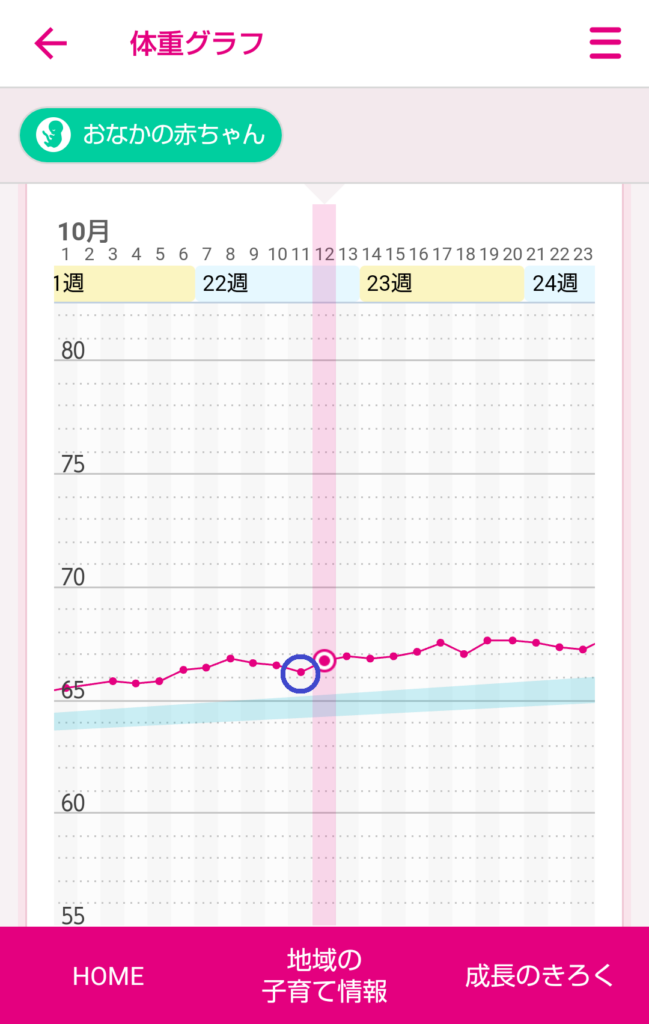 妊娠6ヶ月の体重管理